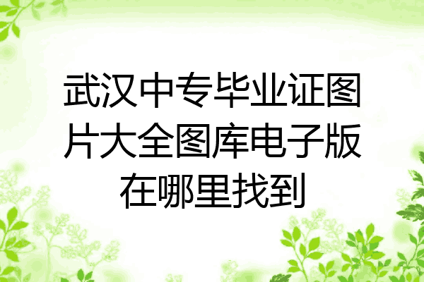 武汉中专毕业证图片大全图库电子版在哪里找到
