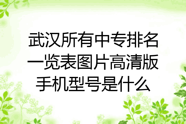 武汉所有中专排名一览表图片高清版手机型号是什么