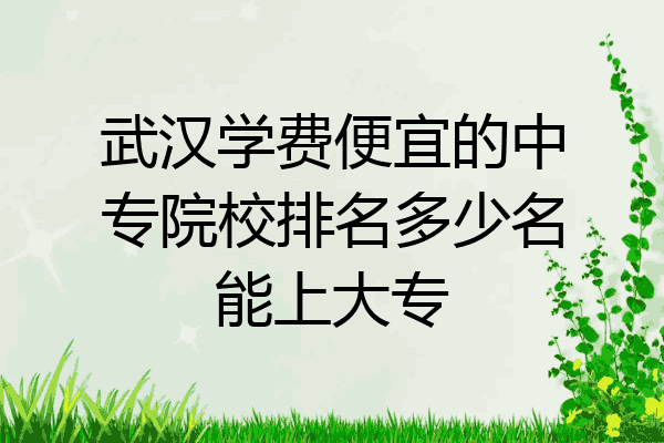 武汉学费便宜的中专院校排名多少名能上大专