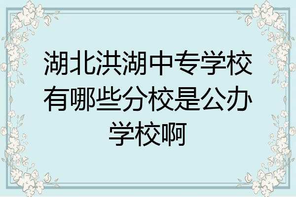 湖北洪湖中专学校有哪些分校是公办学校啊
