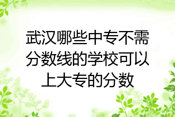 武汉哪些中专不需分数线的学校可以上大专的分数