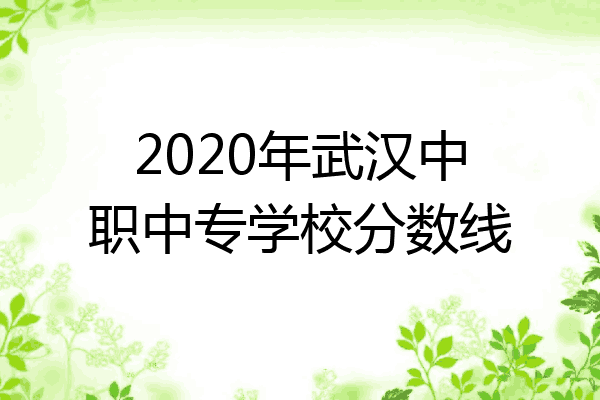 2020年武汉中职中专学校分数线