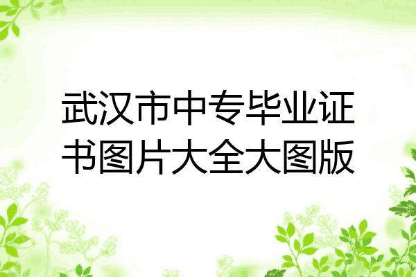 武汉市中专毕业证书图片大全大图版