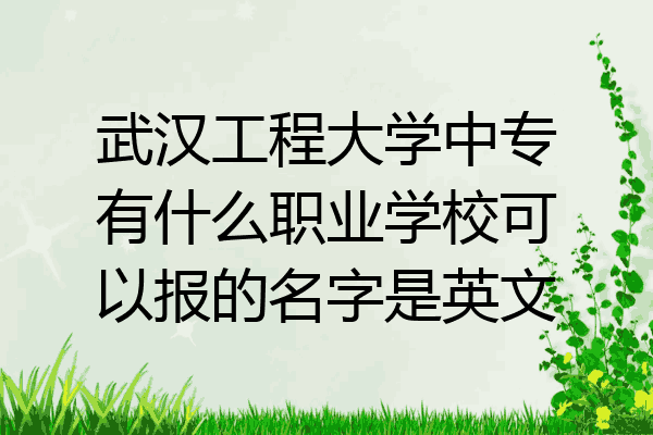 武汉工程大学中专有什么职业学校可以报的名字是英文