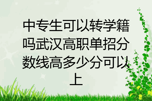 中专生可以转学籍吗武汉高职单招分数线高多少分可以上