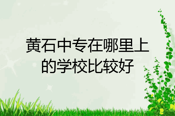 黄石中专在哪里上的学校比较好