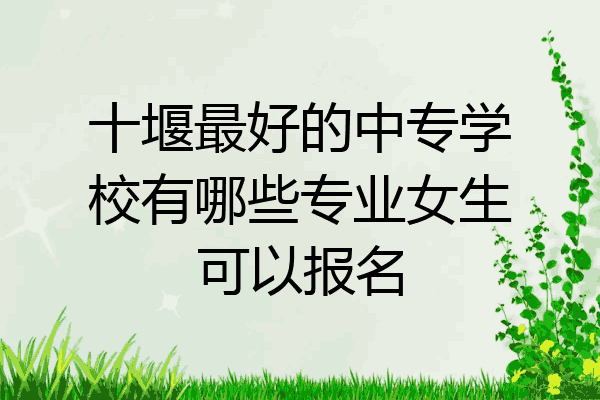 十堰最好的中专学校有哪些专业女生可以报名