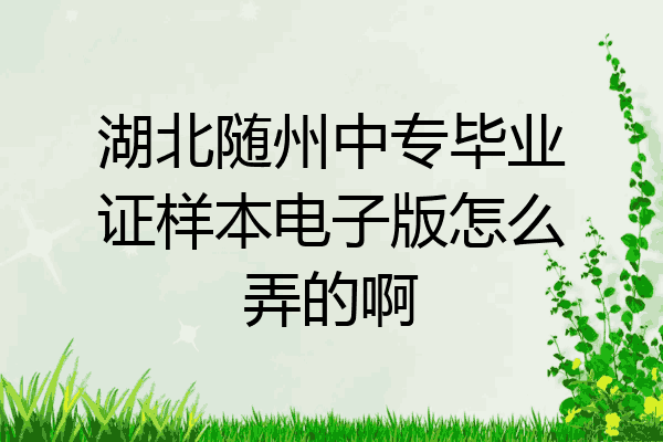 湖北随州中专毕业证样本电子版怎么弄的啊