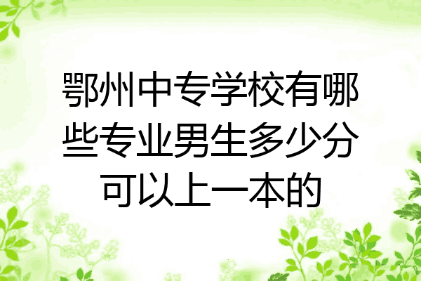 鄂州中专学校有哪些专业男生多少分可以上一本的