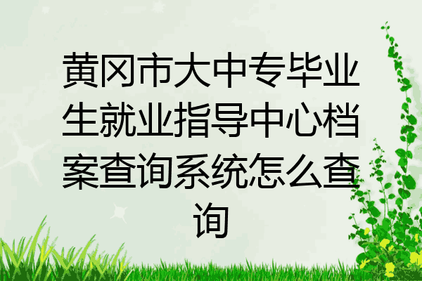 黄冈市大中专毕业生就业指导中心档案查询系统怎么查询