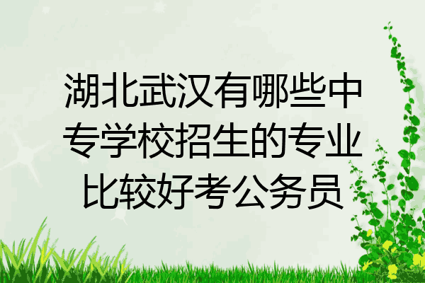 湖北武汉有哪些中专学校招生的专业比较好考公务员