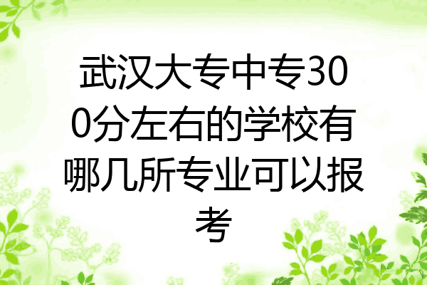 武汉大专中专300分左右的学校有哪几所专业可以报考