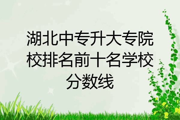 湖北中专升大专院校排名前十名学校分数线
