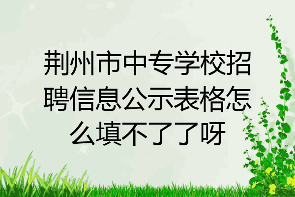 荆州市中专学校招聘信息公示表格怎么填不了了呀