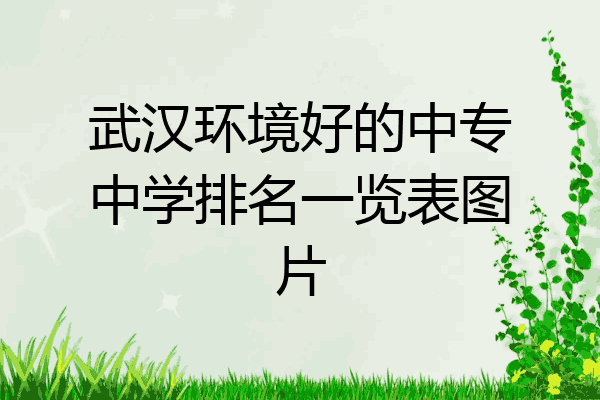 武汉环境好的中专中学排名一览表图片