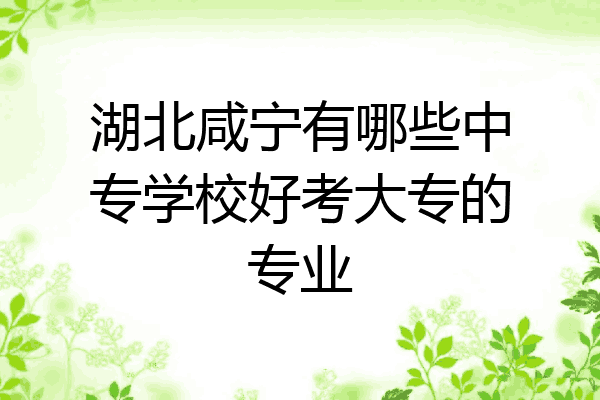 湖北咸宁有哪些中专学校好考大专的专业