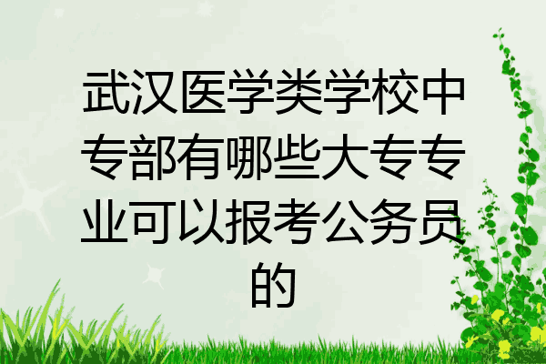 武汉医学类学校中专部有哪些大专专业可以报考公务员的