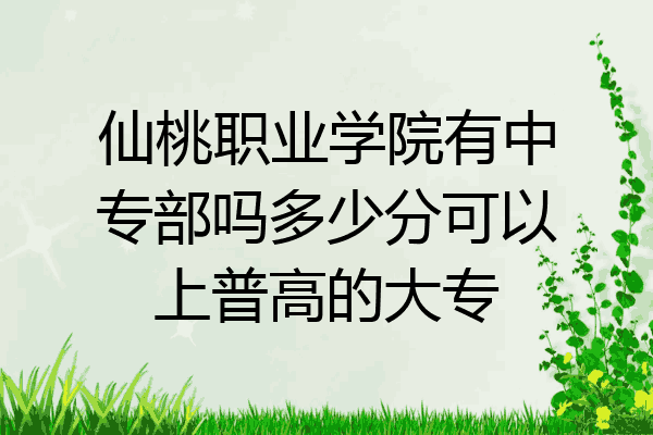 仙桃职业学院有中专部吗多少分可以上普高的大专