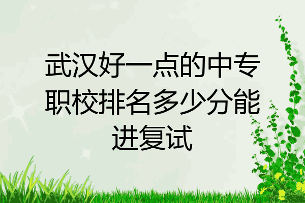武汉好一点的中专职校排名多少分能进复试