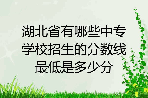 湖北省有哪些中专学校招生的分数线最低是多少分