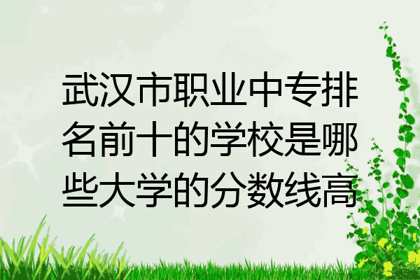 武汉市职业中专排名前十的学校是哪些大学的分数线高