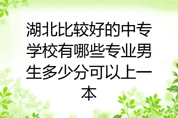 湖北比较好的中专学校有哪些专业男生多少分可以上一本