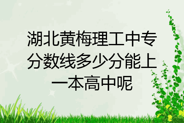 湖北黄梅理工中专分数线多少分能上一本高中呢