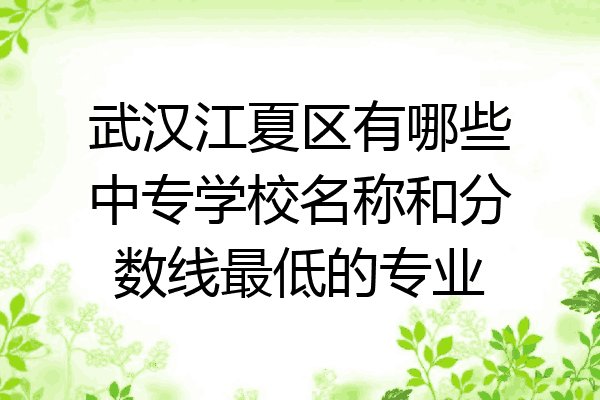 武汉江夏区有哪些中专学校名称和分数线最低的专业