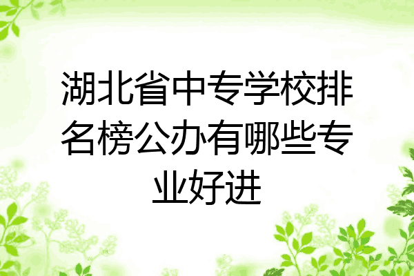 湖北省中专学校排名榜公办有哪些专业好进