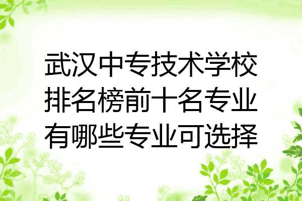 武汉中专技术学校排名榜前十名专业有哪些专业可选择