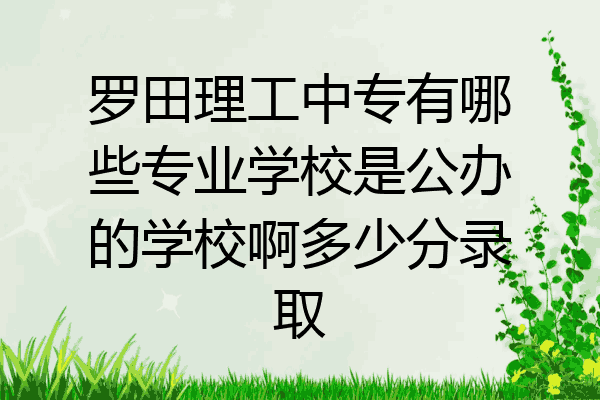 罗田理工中专有哪些专业学校是公办的学校啊多少分录取
