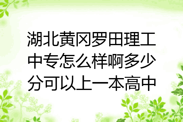 湖北黄冈罗田理工中专怎么样啊多少分可以上一本高中