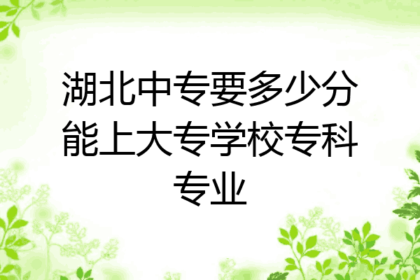 湖北中专要多少分能上大专学校专科专业