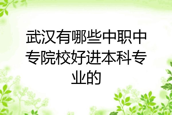 武汉有哪些中职中专院校好进本科专业的