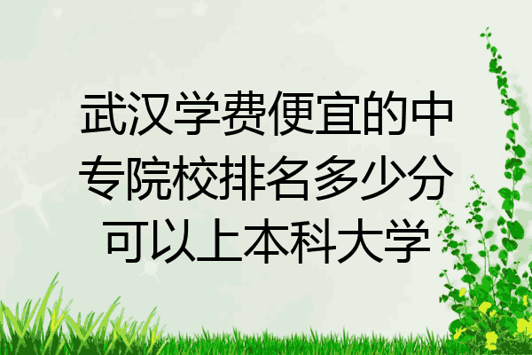武汉学费便宜的中专院校排名多少分可以上本科大学