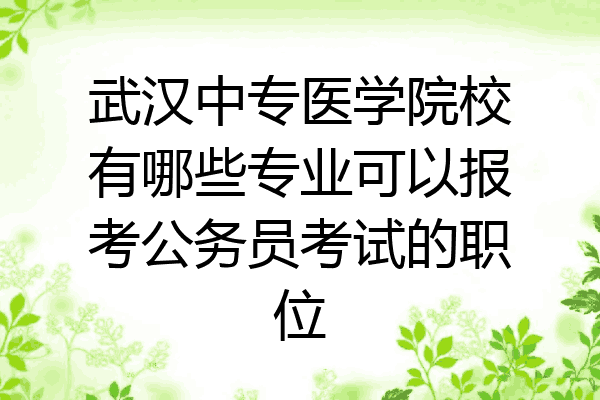 武汉中专医学院校有哪些专业可以报考公务员考试的职位
