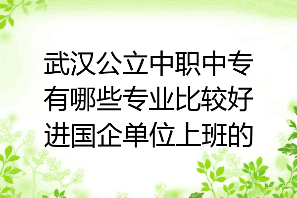 武汉公立中职中专有哪些专业比较好进国企单位上班的