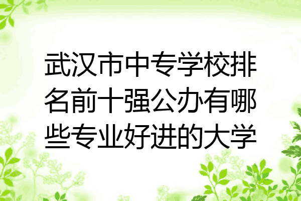 武汉市中专学校排名前十强公办有哪些专业好进的大学