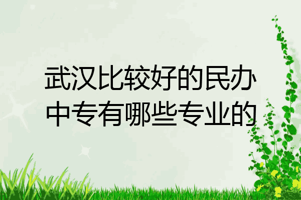 武汉比较好的民办中专有哪些专业的