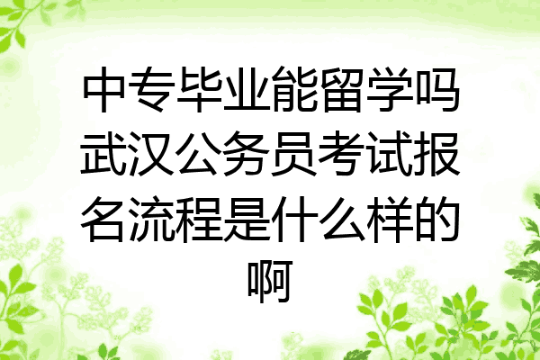 中专毕业能留学吗武汉公务员考试报名流程是什么样的啊