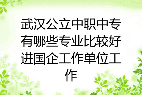 武汉公立中职中专有哪些专业比较好进国企工作单位工作