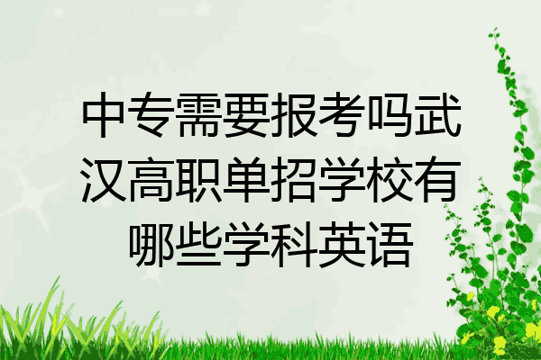 中专需要报考吗武汉高职单招学校有哪些学科英语