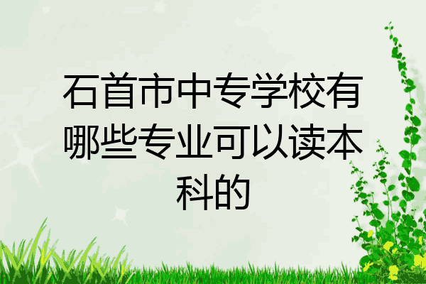 石首市中专学校有哪些专业可以读本科的