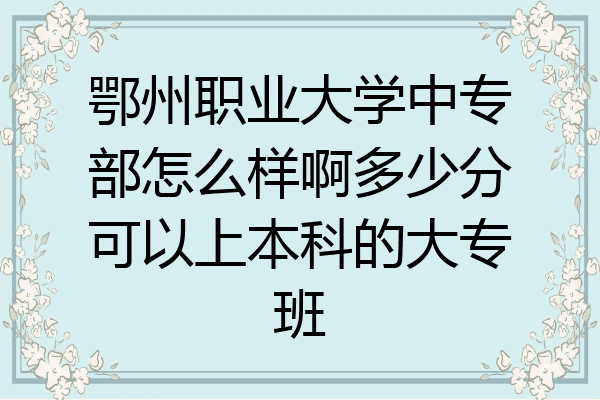 鄂州职业大学中专部怎么样啊多少分可以上本科的大专班