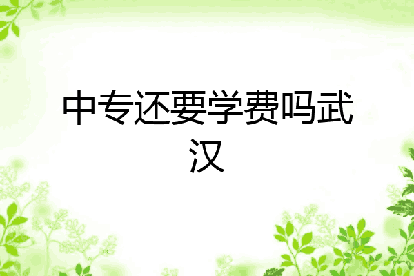 中专还要学费吗武汉