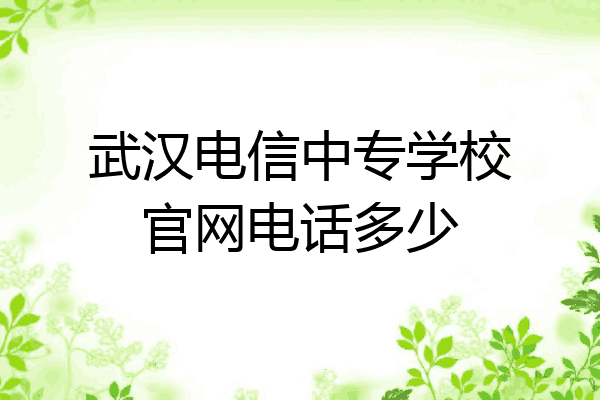 武汉电信中专学校官网电话多少