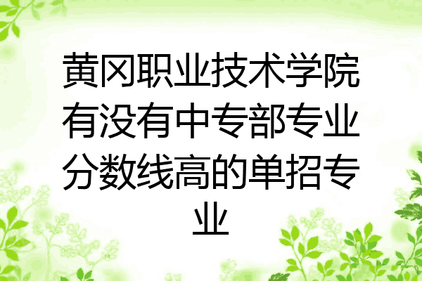 黄冈职业技术学院有没有中专部专业分数线高的单招专业