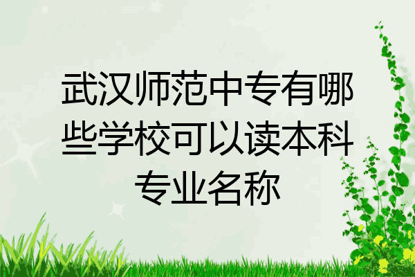 武汉师范中专有哪些学校可以读本科专业名称