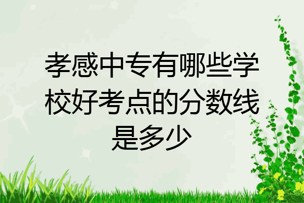 孝感中专有哪些学校好考点的分数线是多少