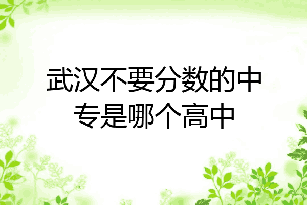 武汉不要分数的中专是哪个高中